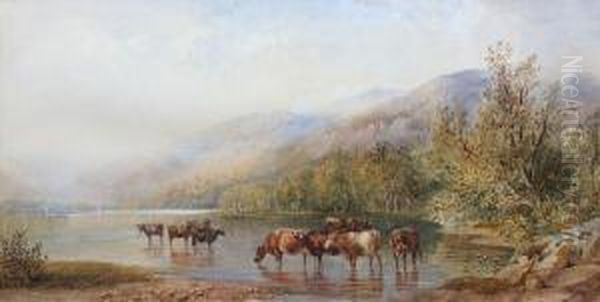 Cattle Watering By A Lake Oil Painting by Cornelius Pearson