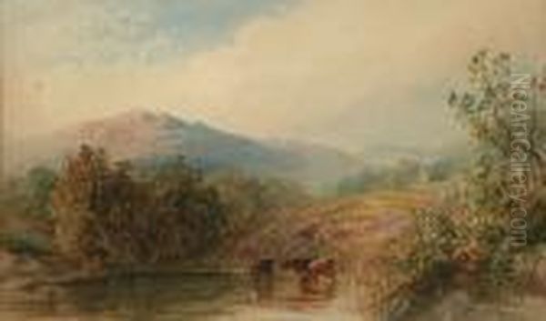 Lake Landscape With Cattle Watering Oil Painting by Cornelius Pearson