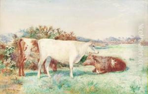 Cattle In A Meadow Oil Painting by John Pedder