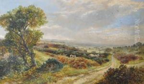 Extensiveheathland Landscape Oil Painting by James Peel