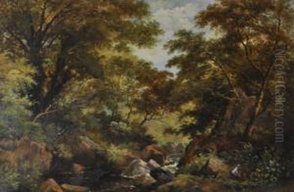 Rocky Streamthrough Woodland Oil Painting by James Peel