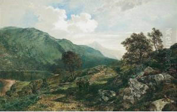 Loch Lomond Oil Painting by James Peel