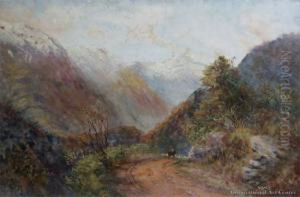 Arthurs Pass Oil Painting by James Peele