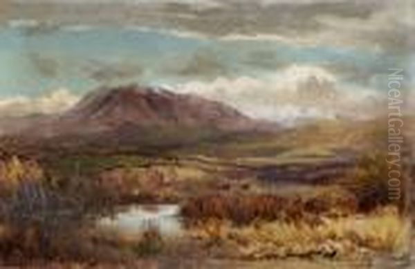 Mckenzie Country Oil Painting by James Peele