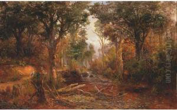 A Bush Track, Kanieri River, N.z. Oil Painting by James Peele