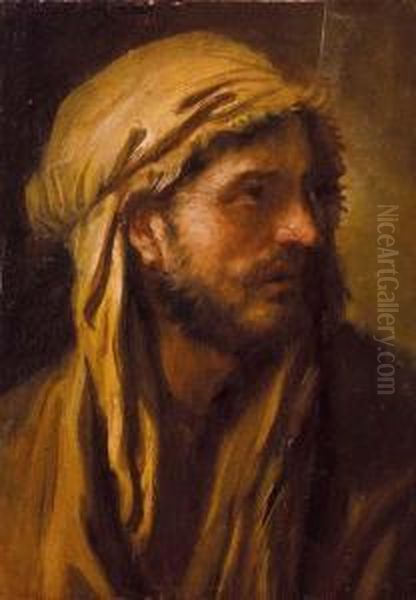 Testa Di Giovane Uomo Con Turbante Oil Painting by Giovanni Antonio Pellegrini