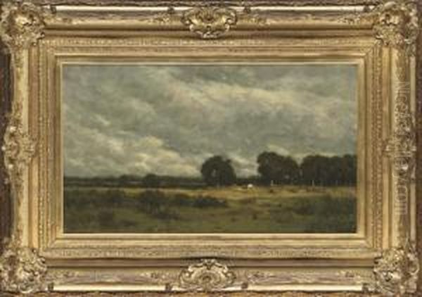 Cattle Grazing In The Fields Oil Painting by Arthur Douglas Peppercorn