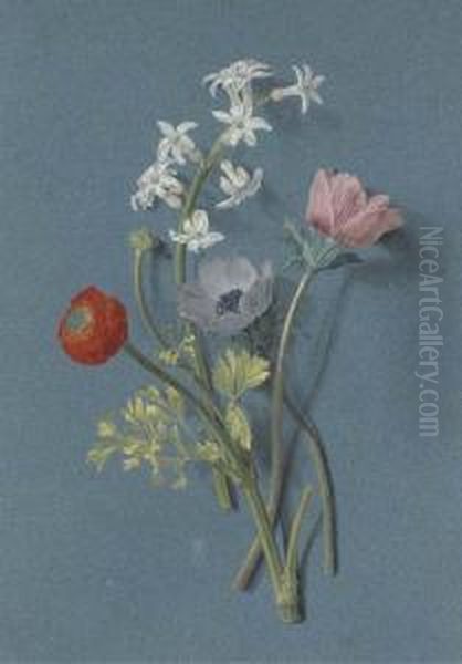 Ranunculus, Anemones And White Hyacinth Oil Painting by Alexis Nicolas Perignon