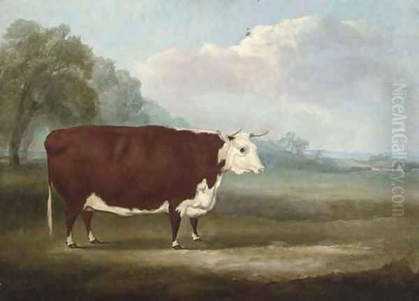 A prize Hereford cow Oil Painting by William Henry Davis