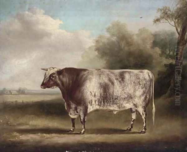 Mr Sam Wiley's Van Dunck, a prize bull in a field Oil Painting by William Henry Davis