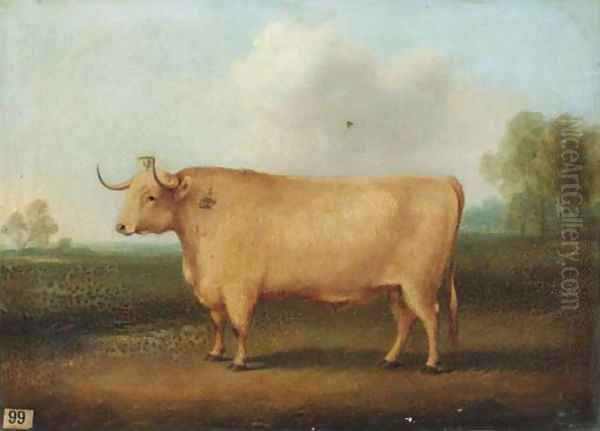 A longhorned bull in a landscape Oil Painting by William Henry Davis