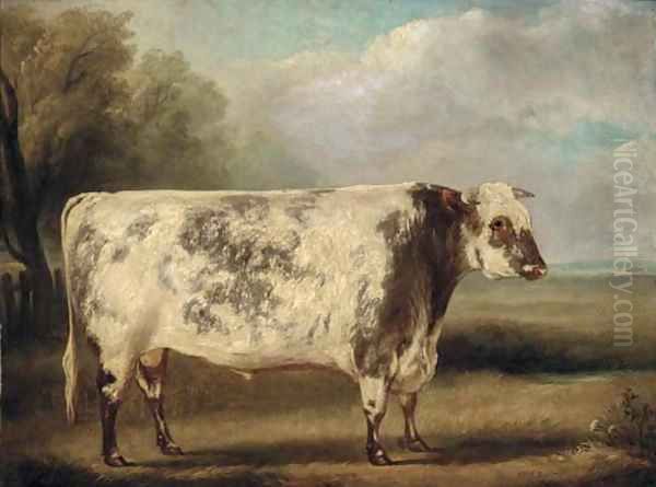 A prize bull in a field Oil Painting by William Henry Davis