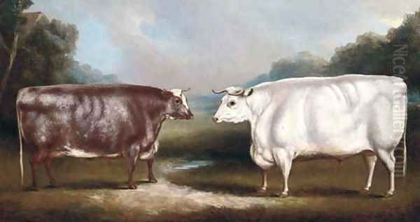 A prize heffer and a prize cow Oil Painting by William Henry Davis