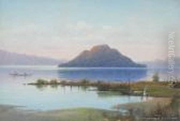 Mokoia Island, Lake Rotorua Oil Painting by John Douglas Perrett