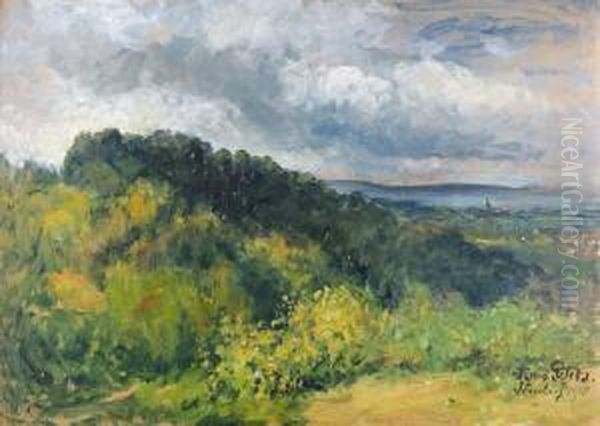 Sommerliche Landschaft Bei Sonnenberg. Oil Painting by Anna Peters