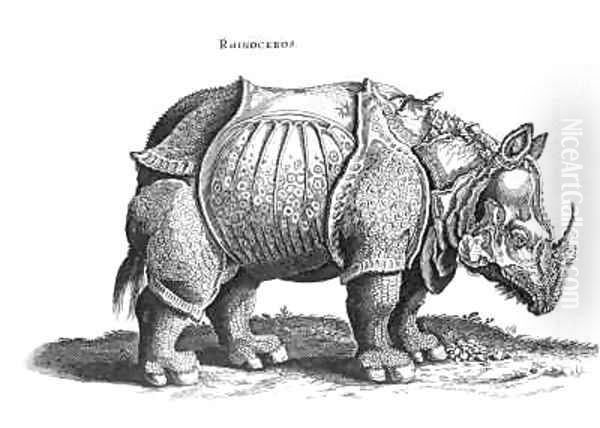 Rhinoceros no76 from Historia Animalium Oil Painting by Durer or Duerer, Albrecht