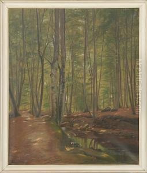 Julius Petersen: Forest Scenery From Marselisborg. Signed Julius Petersen Oil Painting by Julius Hans Henrik Petersen