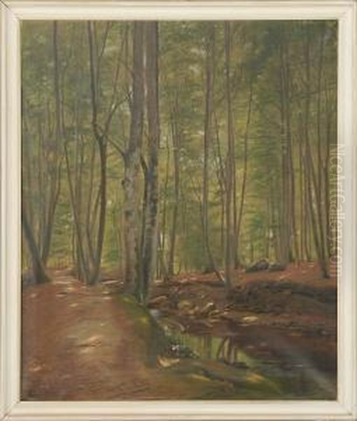 Forest Scenery From Marselisborg Oil Painting by Julius Hans Henrik Petersen