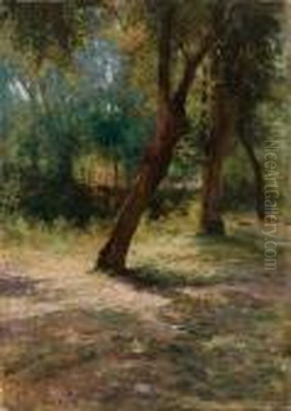 Luci Tra Gli Alberi Oil Painting by Filiberto Petiti