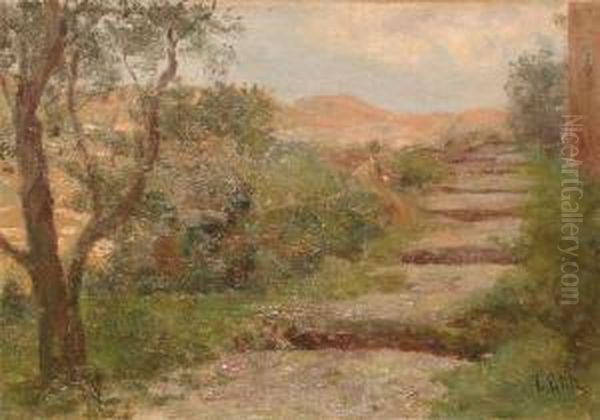 Scalinata Di Campagna Oil Painting by Filiberto Petiti