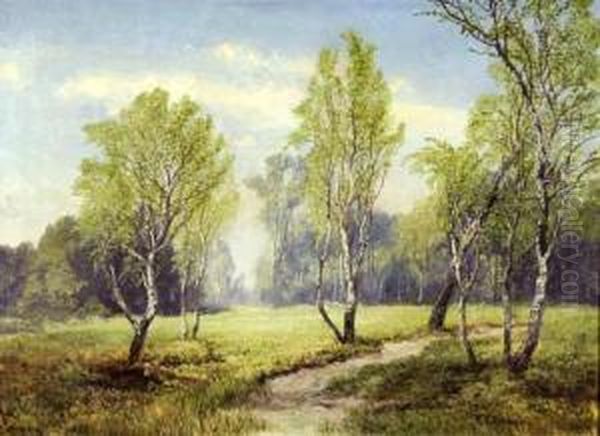 Birkenlandschaft Mit Bachlauf Oil Painting by Konrad Petrides