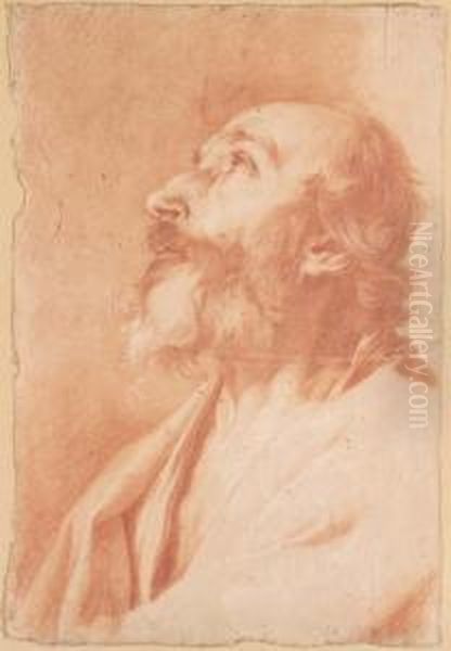 Red Chalk On Light Brown Paper Oil Painting by Giuseppe Antonio Petrini