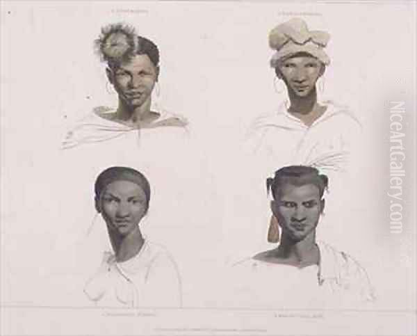 A Bosjeman a Bosjeswoman a Booshuana Woman a Booshuana Man four head and shoulder vignettes Oil Painting by Samuel Daniell