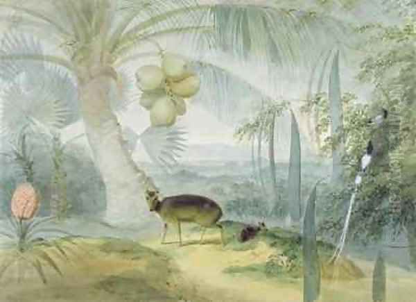 A Landscape in Ceylon with Barking Deer and Fawn and a pair of Paradise Fly Catchers Oil Painting by Samuel Daniell