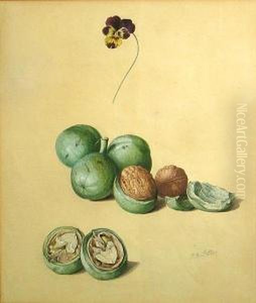 A Study Of Walnuts Oil Painting by Franz Xaver Petter