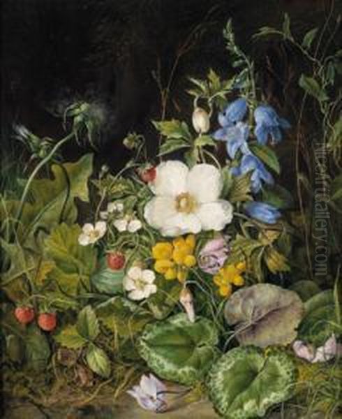 Natura Morta Con Fiori Alpini E Fragole Oil Painting by Franz Xaver Petter