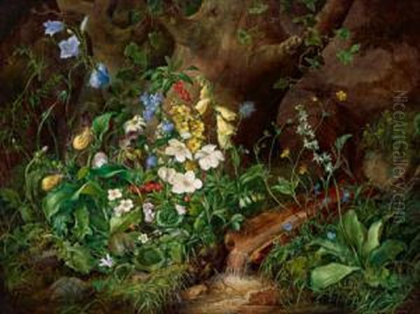 Grande Natura Morta Di Fiori Alpini Con Ellebori Neri Oil Painting by Franz Xaver Petter