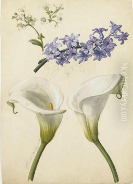 Deux Arums, Des Branches De Pommiers En Fleurs Et Une Jacinthe Bleue Oil Painting by Franz Xaver Petter