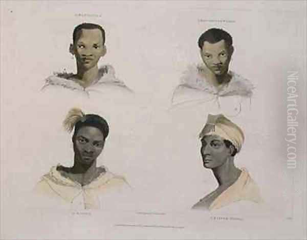 A Hottentot a Hottentot Woman a Kaffre a Kaffre Woman four head and shoulder vignettes Oil Painting by Samuel Daniell