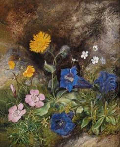 Natura Morta Con Fiori Alpini Oil Painting by Theodor Petter