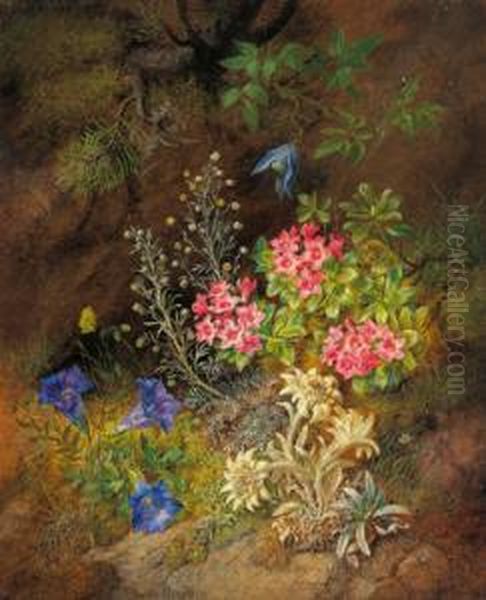 Natura Morta Con Fiori Alpini - Genziana Oil Painting by Theodor Petter