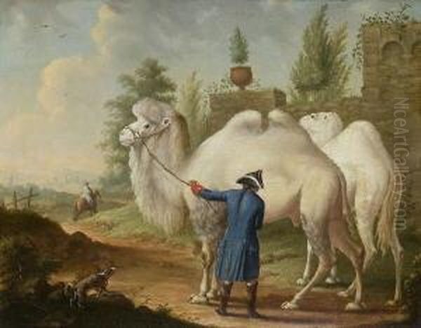 Ein Dromedarius Oder Trampeltier
 Und Cameel ... Oil Painting by Johann Georg Pforr