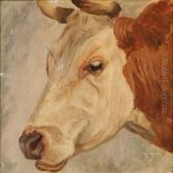 Study Of A Cow Oil Painting by Theodor Philipsen