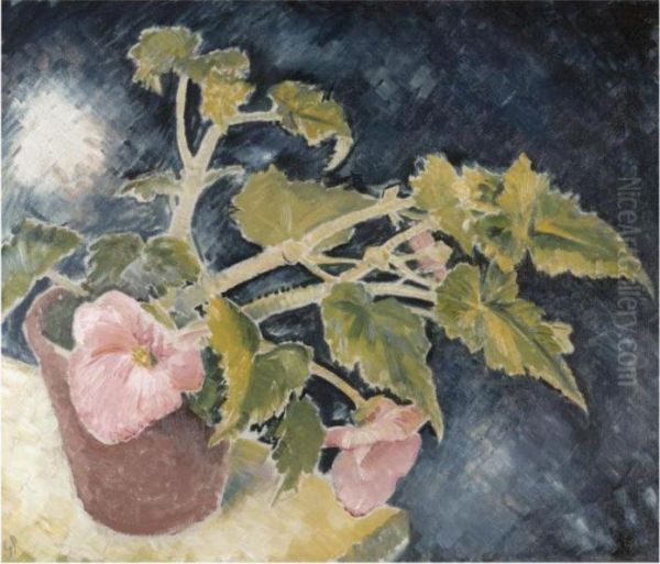 The Pink Begonia Oil Painting by Glyn Warren Philpot