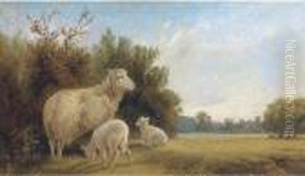 Ewe And Lambs In A Landscape, With Cattle Beyond Oil Painting by Walter Henry Pigott