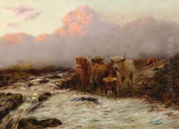 Highland Cattle Oil Painting by Sidney Pike