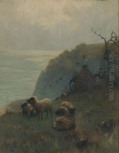 Sheep Beside A Cliff, Over Looking The Sea Oil Painting by Sidney Pike