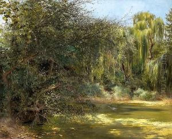 A Shady Pond Oil Painting by Jose Pinelo Llull