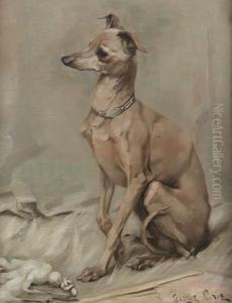 Dino, An Italian Greyhound Oil Painting by George Pirie