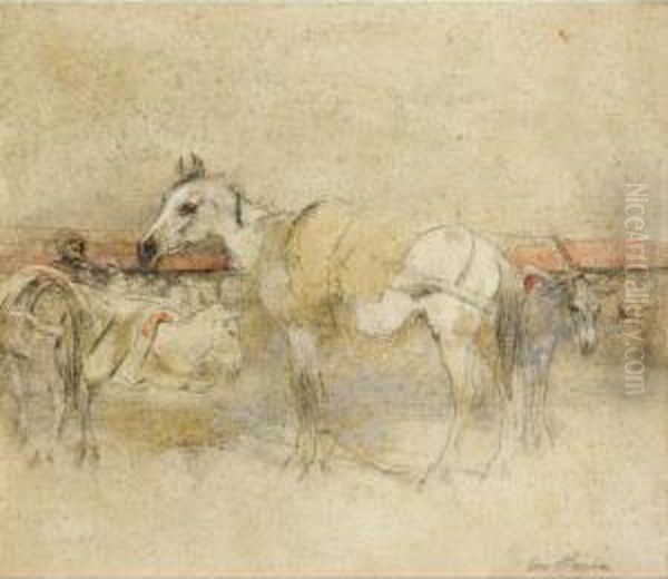 Sketch Of A Moorish Pack Horse Oil Painting by George Pirie