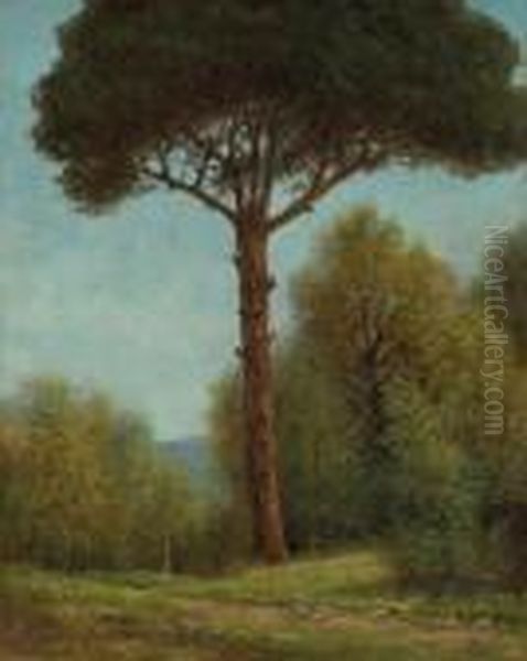 L'albero Oil Painting by Giovanni Pisano