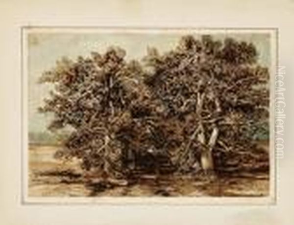 Alberi Oil Painting by Anthonie Sminck Pitloo