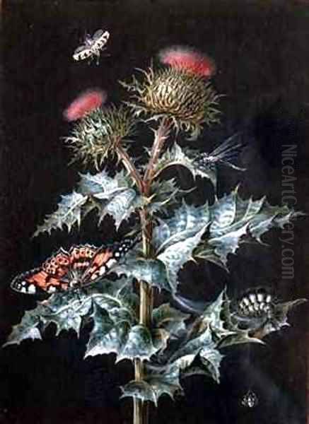 A Study of a Thistle with Insects Oil Painting by Barbara Regina Dietzsch