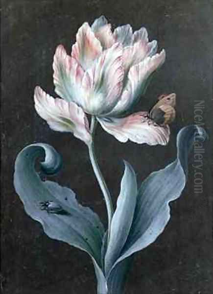 Parrot Tulip with Butterfly and Beetle Oil Painting by Barbara Regina Dietzsch