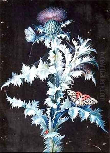 Still Life of a Thistle Oil Painting by Barbara Regina Dietzsch