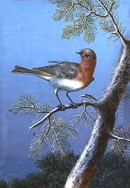 Robin Standing on a Branch Oil Painting by Barbara Regina Dietzsch